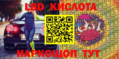Альфа ПВП Гатчина