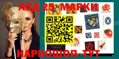 Альфа ПВП Гатчина