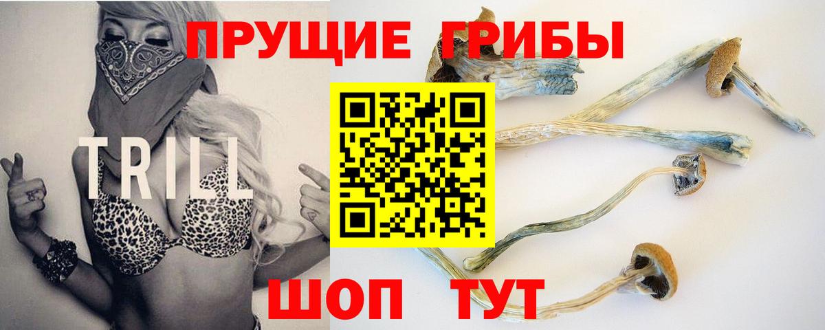 Галлюциногенные грибы Magic Shrooms  где продают   Долгопрудный  Вход с VPN 